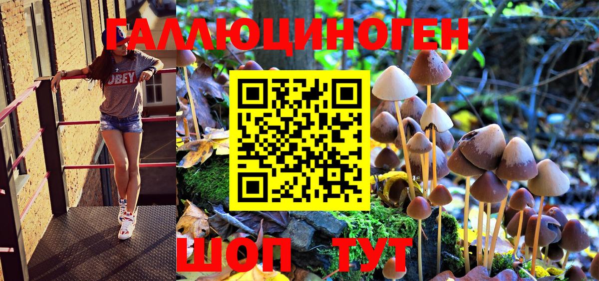 Галлюциногенные грибы Psilocybe Казань