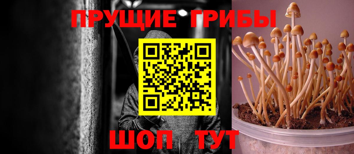 Псилоцибиновые грибы GOLDEN TEACHER  Галлюциногенные грибы Magic Shrooms  Вход с VPN  Казань 